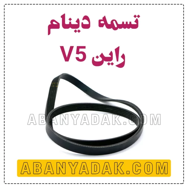 تسمه دینام راین V5